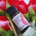 Shop Premium 15ml Rose Blend Essential Oil - International Shipping Available - Buy Online on GoSupps.com