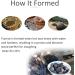 Lava Pumice Stone For Foot Scrubber Foot Pumice To (Random Color And Shape) - Buy Online on GoSupps.com