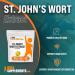 BulkSupplements St. John's Wort Extract 250g - 8.8oz | Natural Mood Support - Buy Online on GoSupps.com