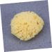 DOITOOL Bath Shower Sponge Bath Sponge Sponges Seaweed Sponge Algae Sponge Honeycomb - Buy Online on GoSupps.com