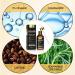 5% Minoxidil Hair Growth Serum Oil for Men & Women | Biotin Hair Serum | Prevent Scalp Hair Loss | 60ml - Buy Online on GoSupps.com