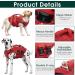 Kuoser Adjustable Dog Lifeguard Vest - Ripstop & High Swimming Capacity for Small to Large Dogs - Perfect Pet Swimming Suit for Beach - XS Red - Buy Online on GoSupps.com