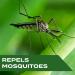 DEET-Free Mosquito Repellent Spray | Botanical Extracts | 4 fl. oz. - Pack of 1 - Buy Online on GoSupps.com