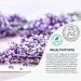 Free Oil Care - Vegan Body Oil for Scars Stretch Marks & Pigment Spots | Microbiome-Friendly Skin Care 125ml - Buy Online on GoSupps.com