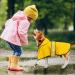 Dolitego Large Yellow Reflective Dog Raincoat with Hoodie - Waterproof Adjustable Dog Poncho for Dog Walking - Buy Online on GoSupps.com