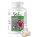 Kyolic - Aged Garlic Extract Supplements - Formula 100 Everyday Support 300mg 360 Capsules - Odorless Garlic Pills - Supports Overall Wellness Unflavored 360 count (Pack of 1)