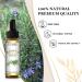 EUQEE Rosemary Oil 10ml Pure Rosemary Essential Oils Natural Aromatherapy Essential Oil Essential Oils for Diffusers Relax Humidifiers Rosemary 10 ml (Pack of 1) - Buy Online on GoSupps.com