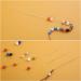 Zxiixz 18 PCS Beading Needles Set for Jewelry Making | 6 Sizes Big Eye Collapsible Needles in Needle Bottle - Buy Online on GoSupps.com