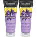 JOHN FRIEDA Ultra Violet pour Blond Soin D m lant Violet 250ml (Lot de 2) Violet 250 ml (Lot de 2)