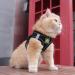 Femax Soft Mesh Dog Harness with Leash for Small & Medium Dogs | Adjustable Reflective No Pull Vest for Chihuahua & Cats - XS (26-29cm) - Black - Buy Online on GoSupps.com