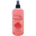 Watermelon Body Spray Body Mist for Women with Clean Light & Gentle Fragrance Long Lasting Perfume with Comforting Scent for Men & Women Cologne with Soft Subtle Aroma For Daily Use Double Strength 16 Fl Oz (Pack of 1)