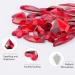 1820Pcs Red Rhinestones Nail Gems - 12 Styles 3D Glass Crystals | Multi Shape Flatback Face Gems with Rhinestones Picker and Tweezers - Buy Online on GoSupps.com