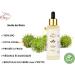 CASTOR OIL + JOJOBA OIL ORGANIC COLD PRESSED - 100% NATURAL REGULATING HAIR - LASHES - BEDS NAILS DEEP Nourishes Skin Face & Body 2 x 60 ml - Buy Online on GoSupps.com