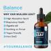Balance Mullein Leaf Liquid Drops - 120ml for 4 Month Supply - High Strength - Vegan - 120 Servings - Premium Mullein Leaf Extract - 6 000mg per Bottle - Sublingual for Fast Absorption - Made in UK 60 ml (Pack of 2) - Buy Online on GoSupps.com
