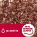 Tetra Freshdelica Bloodworms - Natural Snack for Decorative Fish | 16 x 3g Pack of Red Mosquito Larvae in Jelly - Buy Online on GoSupps.com