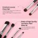 Ducare 6-Piece Eyeshadow Brush Set | Soft Synthetic Hair & Real Wood Handle | Perfect for Eyeshadow Eyebrows & Eyeliner - Buy Online on GoSupps.com