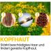 Hypericum Drops Relaxing Massage Oil | 100% Pure St. John's Wort Oil Forte - 200 ml for Scars & Pregnancy Strips - International Shipping Available - Buy Online on GoSupps.com