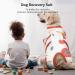 Buy Kuoser Breathable Dog Body for Post-Surgery Care | Leak Protection & Collar Alternative for Dogs & Cats - Buy Online on GoSupps.com