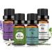yethious 4 Pack Lavender Jasmine Vanilla Eucalyptus Essential Oil Set Vanilla Essential Oil for Diffuser, Soap/Candles Making Jasmine Essential Oil (Lavender + Jasmine + Vanilla + Eucalyptus)