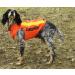 Canihunt Vest Flash V2 (S) - Premium Dog Training Gear | International Shipping Available - Buy Online on GoSupps.com