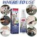 Ujoogbu Cat Scratch Deterrent Spray Cat Anti Scratch Spray for Furniture Cat Scratching Training Spray Stop Cats Scratching Furniture Spray to Stop Cats Scratching Stop Spray for Cats and Dogs(50ML) - Buy Online on GoSupps.com