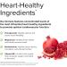 Terry Naturally Clinical OPC Heart - 600mg Grape Seed Complex - 2 Pack - Cardiovascular Support - Non-GMO & Gluten Free - 40 Servings - Buy Online on GoSupps.com
