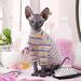 Breathable Summer T-Shirts for Hairless Cats | Soft & Skin-Friendly Cotton Clothing for Sphynx Cornish Rex Devon Rex - XXL (12-13lbs) in Violet - Buy Online on GoSupps.com