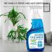 Glass Descaling Cleaner - Powerful Bathroom Glass Descaling Solution for Window | Household Glass Stain Remover for Shower Room Bathroom Living Room Cabinet Thaely - Buy Online on GoSupps.com