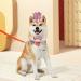 Dog Cat Birthday Hat Crown with Bowtie & Charms, Party Accessories for Small Medium Pets (PINK) - Buy Online on GoSupps.com