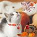 DILLYBUD Holiday Cat Collar Breakaway 3 Pack - Thanksgiving & Christmas Safety Buckle Collars with Bell for Cats & Kittens - Adjustable Holiday Theme Collars (Pack of 2) - Buy Online on GoSupps.com