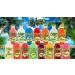 Calypso Lemonades 16oz Glass Bottles 6 Pack - 6 Flavor Sampler Pack - Buy Online on GoSupps.com