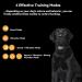 Beoankit Anti Bark Collar for Dogs - Dual Vibration, 5 Sensitivity Levels, 3 Modes - Grey - Buy Online on GoSupps.com