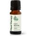 Plant Therapy Organic Tea Tree Oil (Melaleuca) 100% Pure USDA Certified Organic Undiluted Natural Aromatherapy for Skin Hair and Toenails Therapeutic Grade 10 mL (1/3 oz) - Buy Online on GoSupps.com