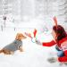 Cozy Winter Dog Sweaters & Coats | Soft Knitted Jackets for Small to XXL Dogs & Cats - Buy Online on GoSupps.com