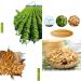 Mkostlich Dried Soy Strips 250g/8.81Ounce Soy Beans Strips Chinese Soybeans Strips Bean Wings Soy Strips 250 g (Pack of 1) - Buy Online on GoSupps.com
