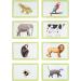 Relish Animal Snap Large Image Card Game - Alzheimer's & Dementia Activities for Seniors - Buy Online on GoSupps.com