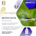Detox Depur Syrup 500ml | Liver & Intestine Support | Vegan & Gluten-Free | J.ArMOR Pharma - Buy Online on GoSupps.com