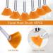 10 Pieces Mask Brushes Fan Shaped Brushes Soft Facial Applicator Brush Face Makeup Brush with Clear Plastic Handle for Mud Mask Cream - Buy Online on GoSupps.com