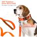 Buy Iokheira Waterproof Dog Leash - Padded Handle 10m Orange Perfect for Training Tracking & Camping - Buy Online on GoSupps.com