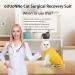 Ouuonno Cat Wound Surgery Recovery Suit | Abdominal Wounds & Skin Diseases | E-Collar Alternative for Cats & Dogs | Yellow Small - Buy Online on GoSupps.com
