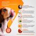 ArthriMAXX 32oz Joint Supplement for Dogs - Natural Anti-Inflammatory with Glucosamine & Chondroitin - Buy Online on GoSupps.com