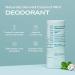 Hey Humans Coconut Mint Vegan Aluminum-Free Deodorant | Odor Protection for Women & Men | Natural Ingredients with Coconut Oil & Shea Butter | 2 oz (Pack of 3) - Buy Online on GoSupps.com