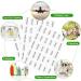 KSIWRE 300 PCS Waterproof Labels for Travel Size Bottles Clear Bathroom and Beauty Organization Labels Travel Bottle Labels for Shampoo Conditioner Lotion Cream Refillable Bottle Stickers - Buy Online on GoSupps.com