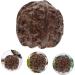 Partykindom Wenwan Handle Fake Peach Core Statue - Hand-Carved Wood Peach Decoration | Vietnamese Agarwood Fruit Carvings - Buy Online on GoSupps.com