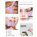 Silicone Winged Smoky Eyeshadow Applicators Plate & Cat Shape Eye Liner Guide - Purple - Buy Online on GoSupps.com