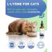 IRALUN Lysine for Cat - L-Lysine for Cats and Kittens Immune Support Respiratory and Eye Health - Allergy Relief Sneezing Runny Nose - Roast Chicken Flavor Drops - Buy Online on GoSupps.com