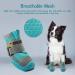 Jzxoiva Large Dog Shoes 4PCS/Set | Breathable Booties for Hardwood Floors & Outdoor Paw Protection | Reflective Strips for Safety | Ideal for Winter, Snow, Hot Pavement | Blue, Width 2.55 inch | 63-78 lbs - Buy Online on GoSupps.com