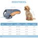 Buy All-Sopets Dog Cooling Vest | Breathable & Comfortable Summer Jacket with Reflective Strip | Blue-Orange Pet Clothing - Buy Online on GoSupps.com