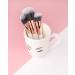 Brushworks Ready Set Glow Face Brush Set - Buy Online on GoSupps.com