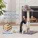 Cat Scratching Post with Sisal Rope, Arch Self Groomer, and Plush Cover - Ideal for Indoor Cats and Kittens - Buy Online on GoSupps.com